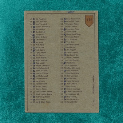 73-74 NHL Checklist #116