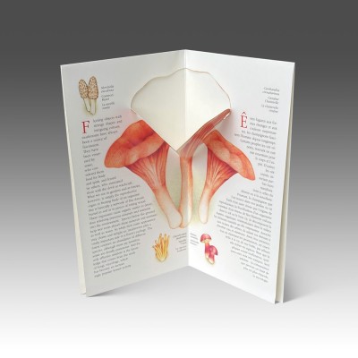 Carte Commémorative