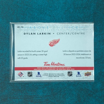 Dylan Larkin #AI-13