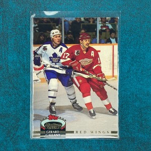 Gerard Gallant #218