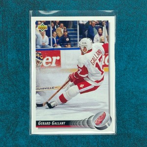Gerard Gallant #246