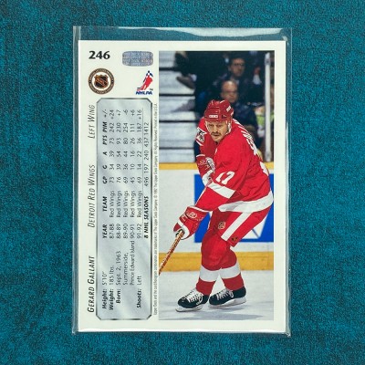 Gerard Gallant #246