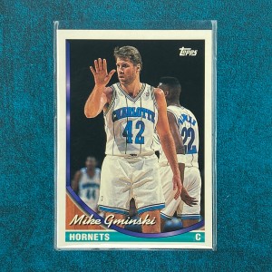 Mike Gminski #339