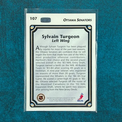 Sylvain Turgeon #107