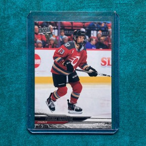 Tereza Vanišová #31